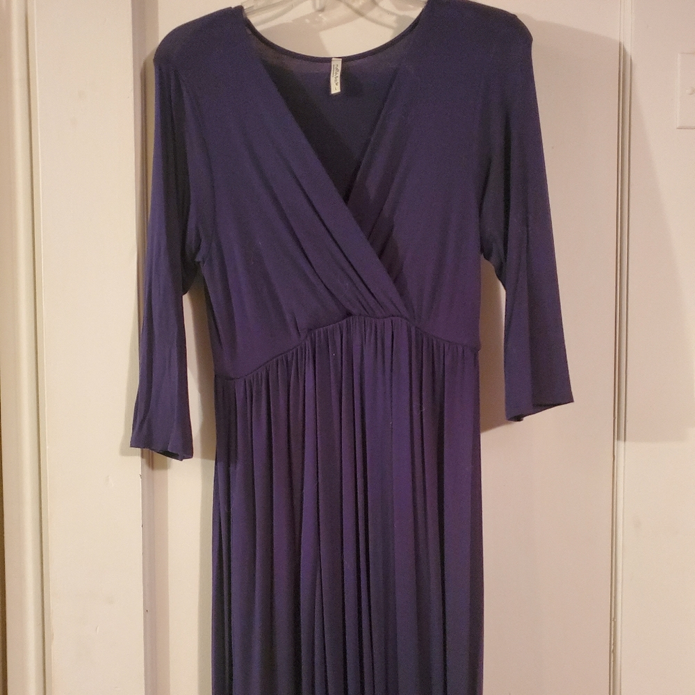 Mother Bee Maternity Dress